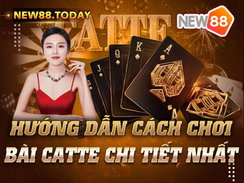 Hướng Dẫn Cách Chơi Bài Catte Chi Tiết Nhất